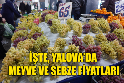 İşte, Yalova’da meyve ve sebze fiyatları
