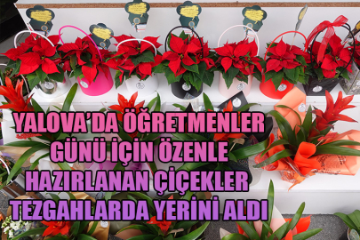 Yalova’da Öğretmenler Günü için özenle hazırlanan çiçekler tezgahlarda yerini aldı