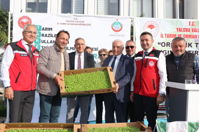 Çiftçilere 359 bin fide dağıtıldı