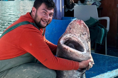 Esenköy’de balıkçılar 4 metrelik köpek balığı yakaladı