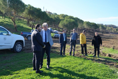 Yalova Üniversitesi sahili ‘Yaşam Köyü’ne dönüşüyor