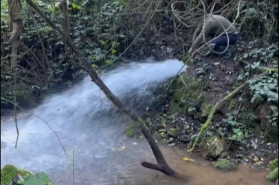 Kurtköy Muhtarlığı'ndan Yalova’ya can suyu