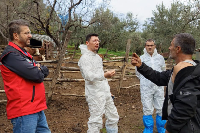 Çınarcık’ta çiftçilere şap eğitimi verildi