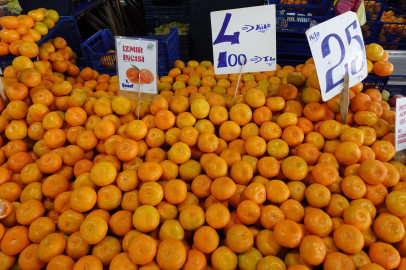 Yalova Semt Pazarı’nda mandalina kilosu 25 TL’den satılıyor
