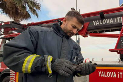 Yaralı karganın imdadına Yalova İtfaiyesi yetişti