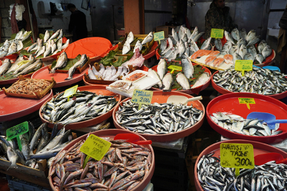 İşte, Yalova’da balık fiyatları