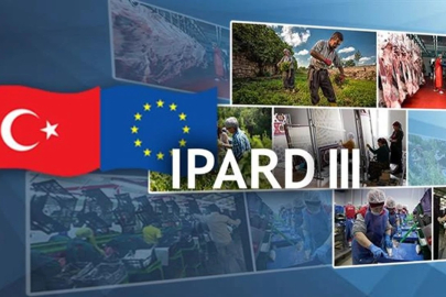 Yalova için IPARD III LEADER fonları açıklandı! 30 milyon liralık destek