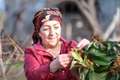 “Toprakla uğraşmak insanla mücadele etmekten daha kolay”