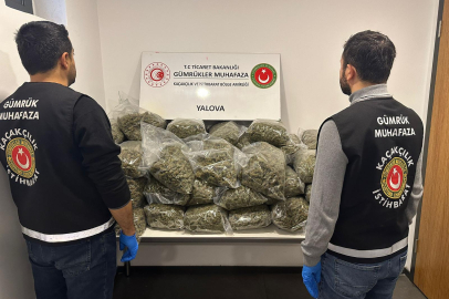 Yalova RO- RO’da 23 milyon liralık uyuşturucu baskını!
