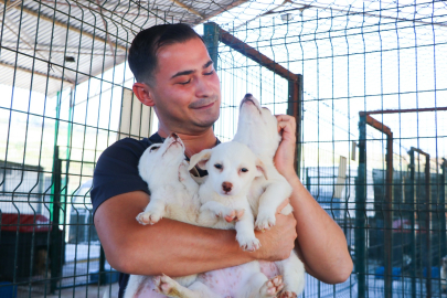 Yiğittürk’ten evcil hayvan sahiplerine çip ve karne uyarısı