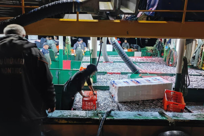 Yalova’da hamsi kotası için sıkı denetim !113 ton balık kontrol edildi