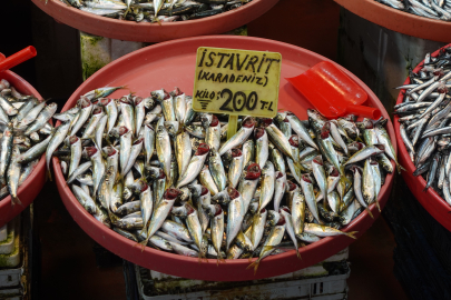 İşte, Yalova’da Balık fiyatları