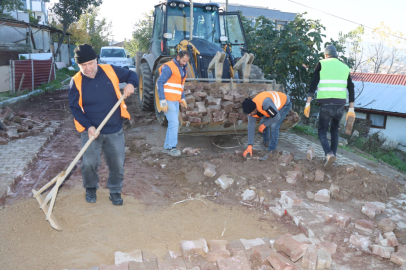 Parke bakım onarım çalışmaları devam ediyor