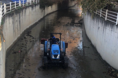 Armutlu’da dere temizliği