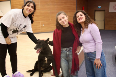 Narkotikle Mücadelede yoğun farkındalık çalışması