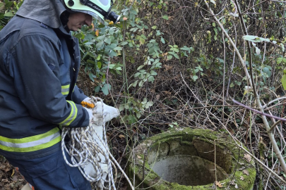 Yalova’da kuyuya düşen inatçı keçiyi itfaiye kurtardı