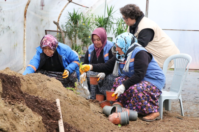 Çiftlikköy Belediyesi’nde peyzaj bitkileri üretimi sürüyor