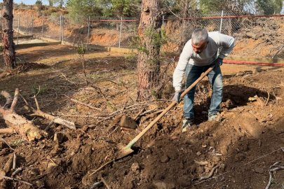 Armutlu'da hayvanlar için doğal yaşam alanları oluşturuldu