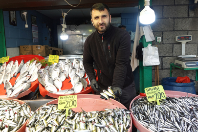 İşte, Yalova’da balık fiyatları