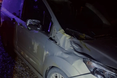 Yalova'da akıl almaz kaza! Büyükbaş hayvan araca çarptı