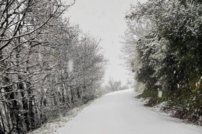Yalova’nın yüksek kesimleri kara büründü