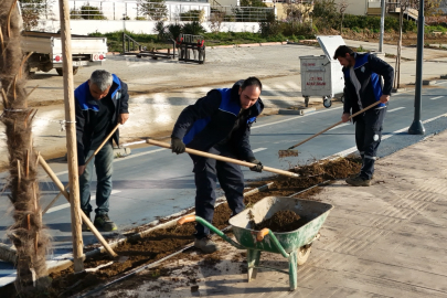 Yılandar Sahilinde hummalı peyzaj çalışması