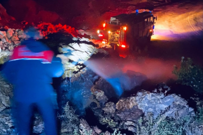 Esenköy- Armutlu yolunda orman yangını tehlikesi