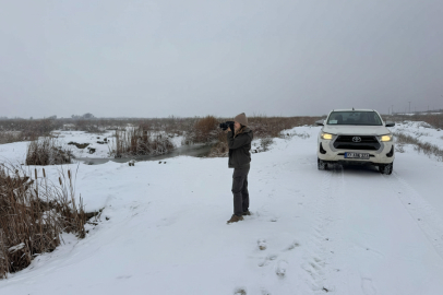 DKMP kaçak avcılara göz açtırmıyor