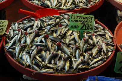 İşte, Yalova Balık Pazarı’nda fiyatlar