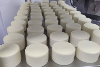 Yalova Üniversitesi’nin peynir üretimi projesine MARKA desteği