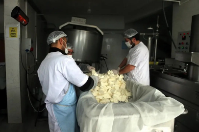 Yalova'da süt ve et yatırımlarına yüzde 70 hibe desteği