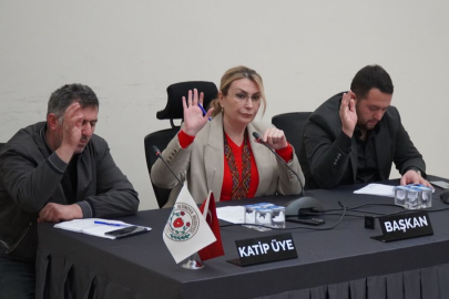 Altınova Belediye Meclisi toplandı