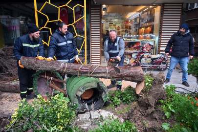 Yalova Belediyesi fırtınaya karşı seferber oldu