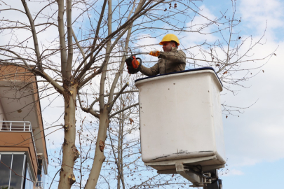 Budama çalışmaları devam ediyor