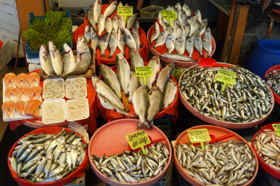 İşte, Yalova’da güncel balık fiyatları