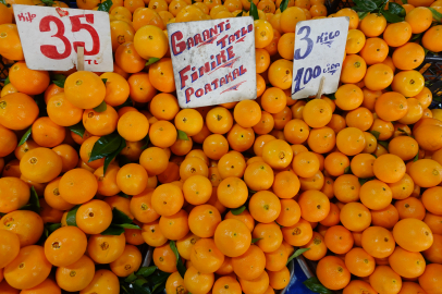 İşte, Yalova’da meyve ve sebze fiyatları