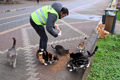 Sokaktaki can dostları unutulmadı