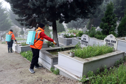Yalova Belediyesi Mezarlıklar Müdürlüğü 2025 yılında 1.410 cenazeye hizmet verdi