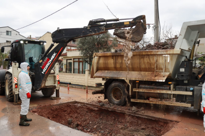 Yalova Belediyesi her noktada çalışıyor