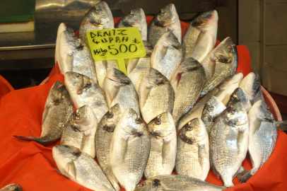 İşte, Yalova’da balık fiyatları