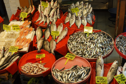 İşte, Yalova’da balık fiyatları