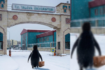 Yalova Üniversitesi Penguen akımına katıldı