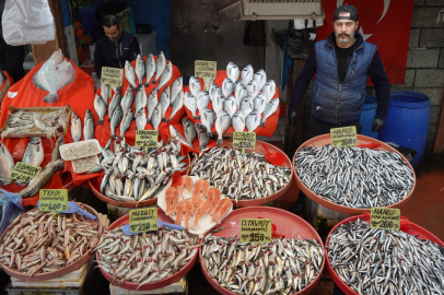 İşte, Yalova’da balık fiyatları
