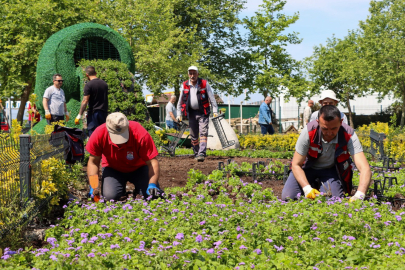 Yalova’da 624 bin metrekare yeşil alan çiçeklendirildi