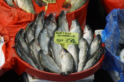 İşte, Yalova’da güncel balık fiyatları