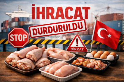 Tavuk ihracatı durduruldu! Ramazan öncesi fiyat artışına bakanlıktan müdahale