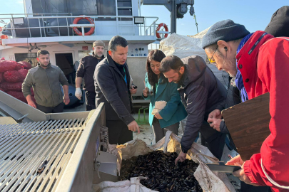 Japon uzman heyeti Yalova’nın organik midyelerini inceledi