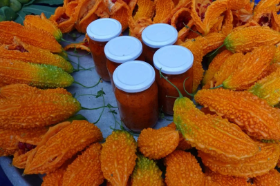 Yalova Atatürk Bilim ve Sanat Merkezi'nin "Kudret Narı Projesi" Türkiye finalinde