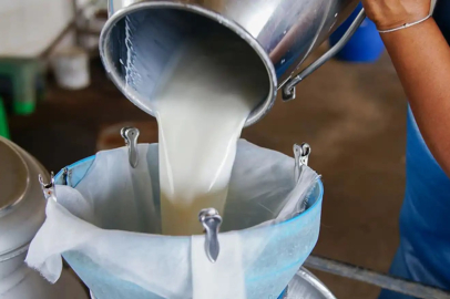 Süt üretimi düştü, yoğurt ve ayran arttı