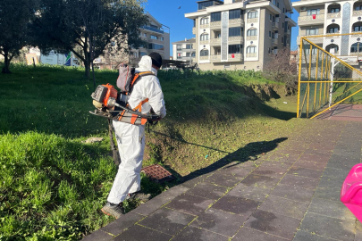 Altınova bahar aylarına hazırlanıyor